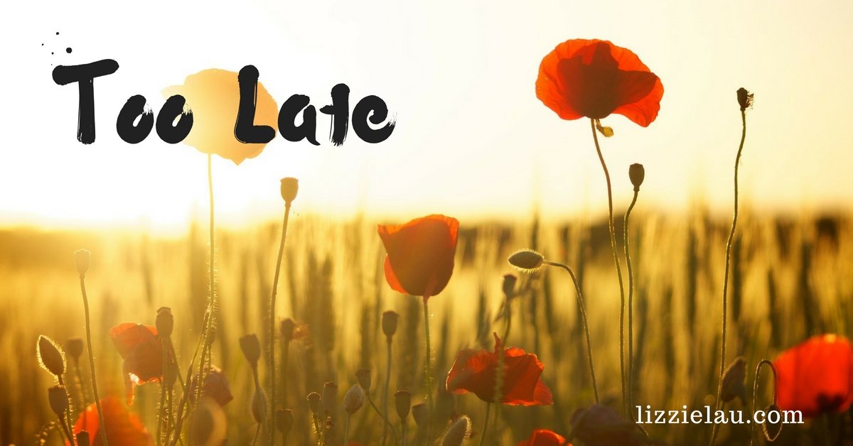 remembering those who served too late