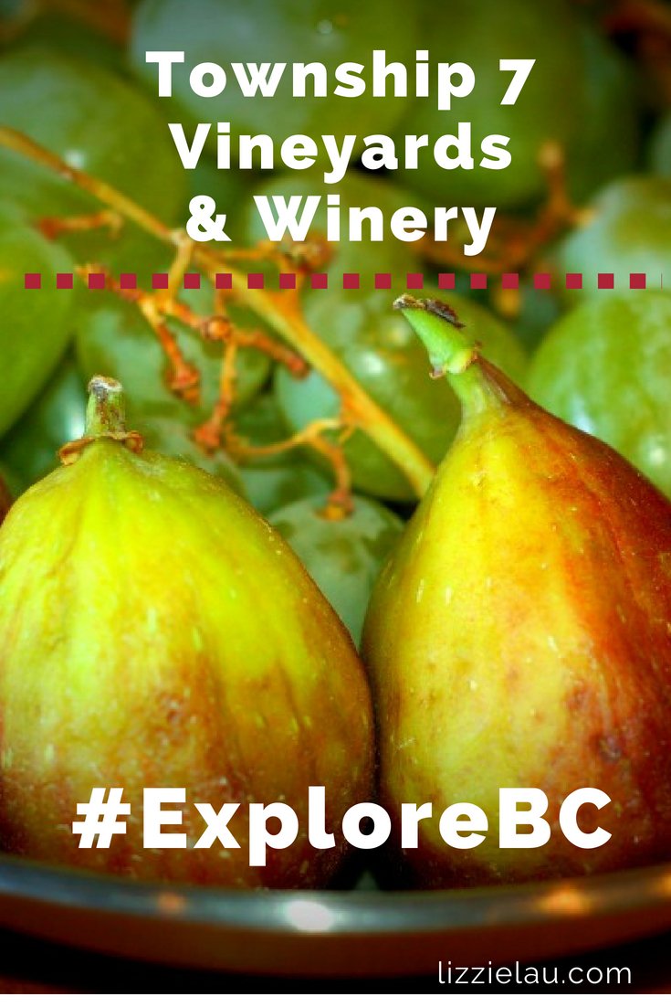 Township7 Vineyards and Winery #ExploreBC