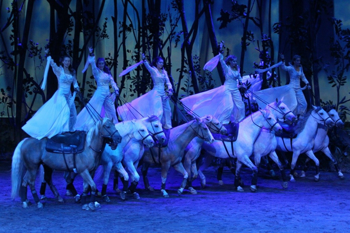 A Show You Don't Want To Miss Odysseo by Cavalia
