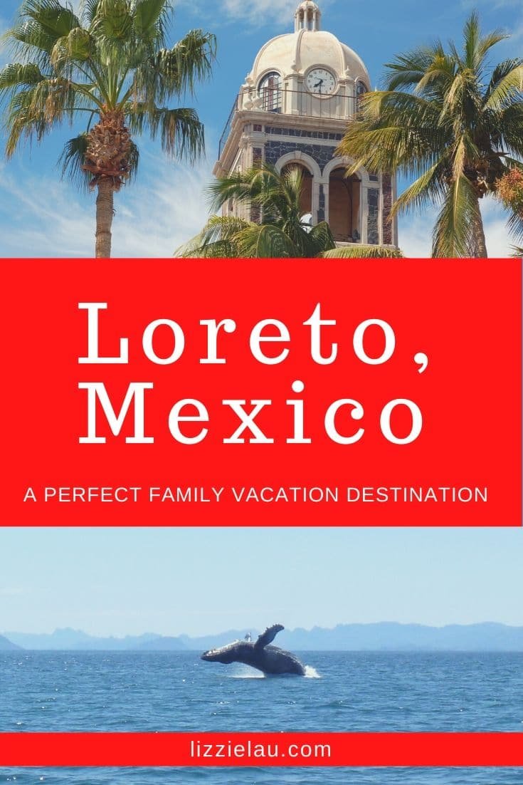 Loreto, Mexico - Whales, Dolphins, Sea Lions, and a Whale Shark!