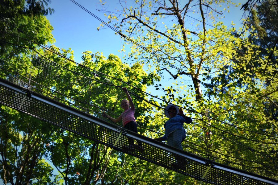 On your next trip to Vancouver visit the Greenheart Treewalk at UBC Botanical Garden