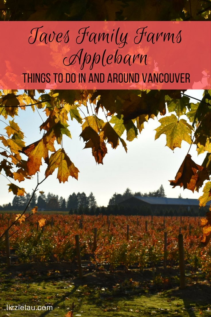 Taves Family Farms Applebarn - Things to do in and around Vancouver #canada #vancouver #abbotsford #familytravel