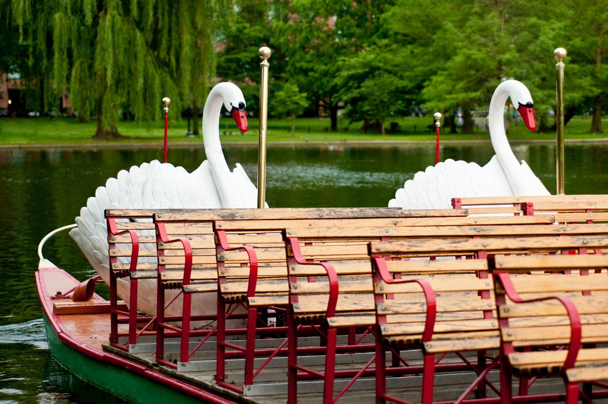 Public Garden Swan Boats Boston with kids