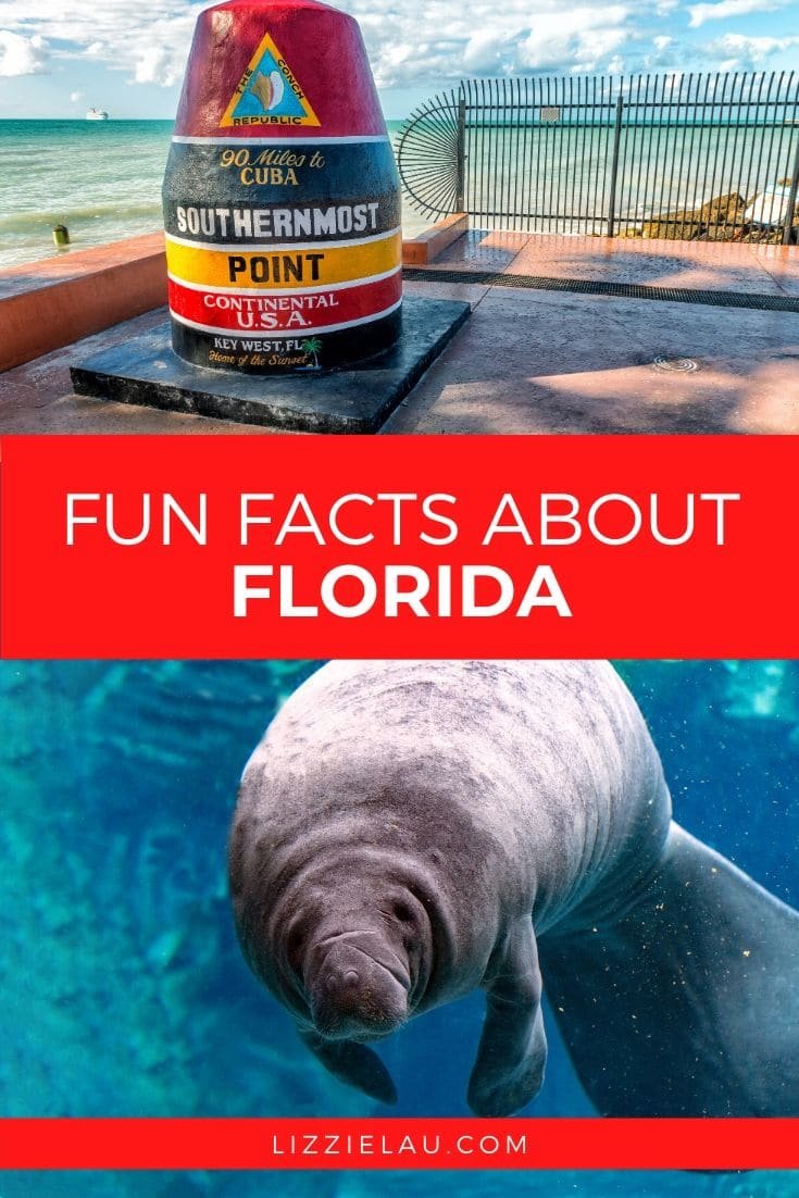 6 Fun Facts About Florida #LoveFL