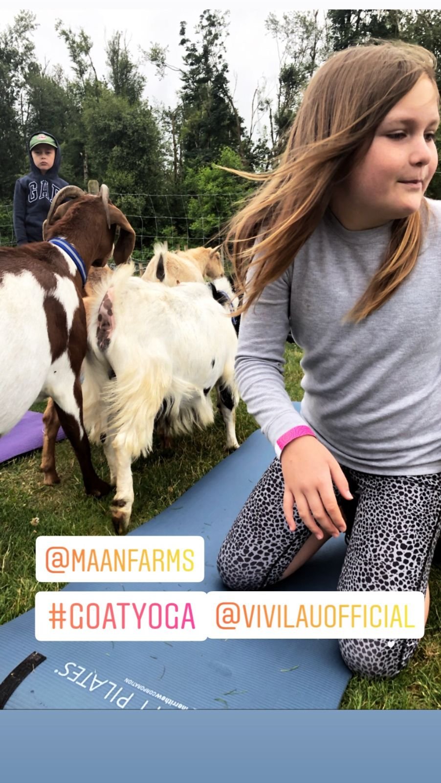 Goat Yoga World Record Attempt