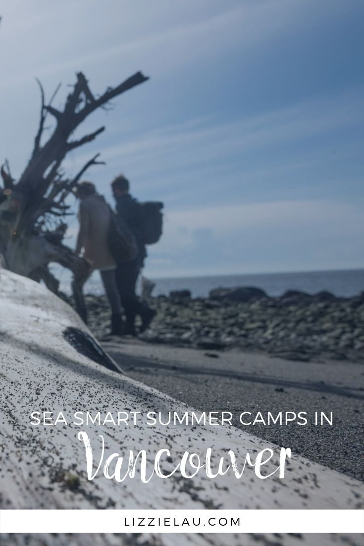 Sea Smart Summer Camps in Vancouver