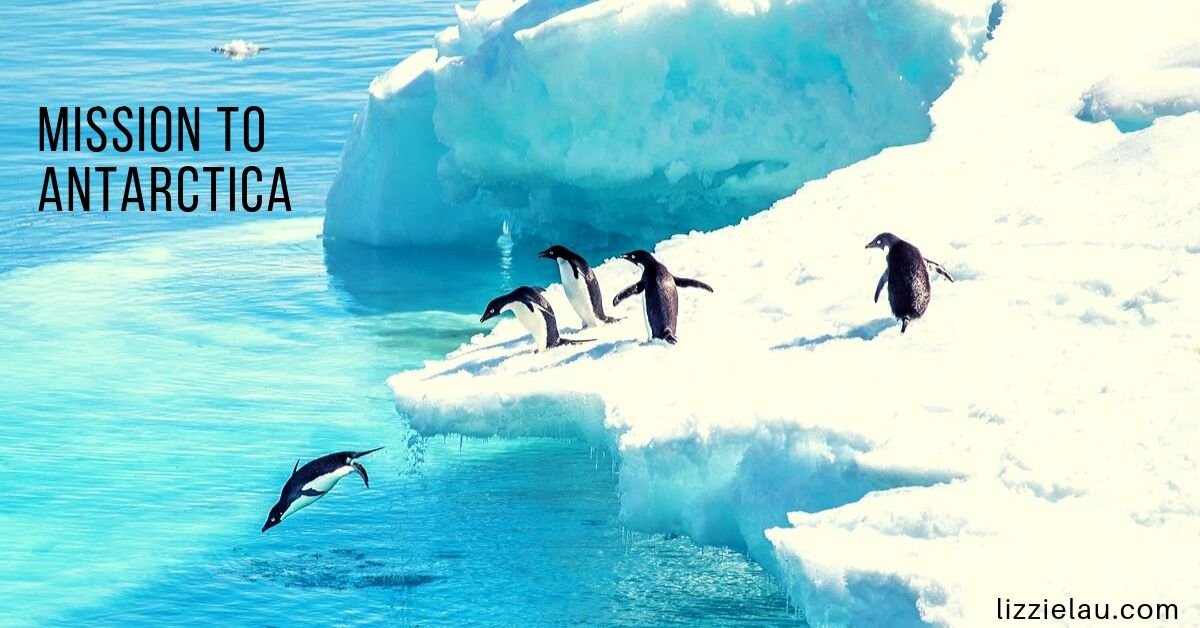 mission to antarctica to see penguins