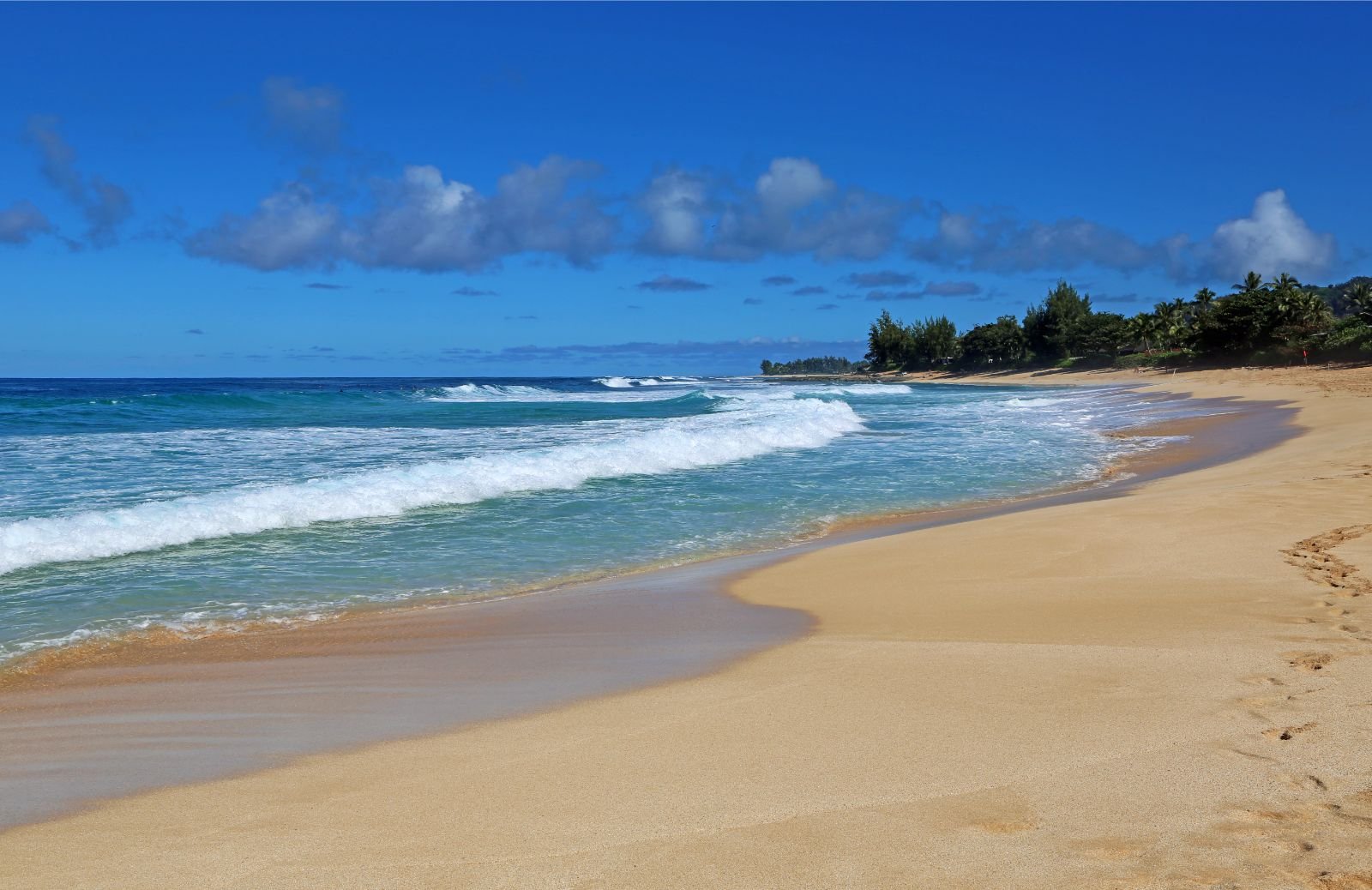 Hawaii family vacation Waimea Bay Beach