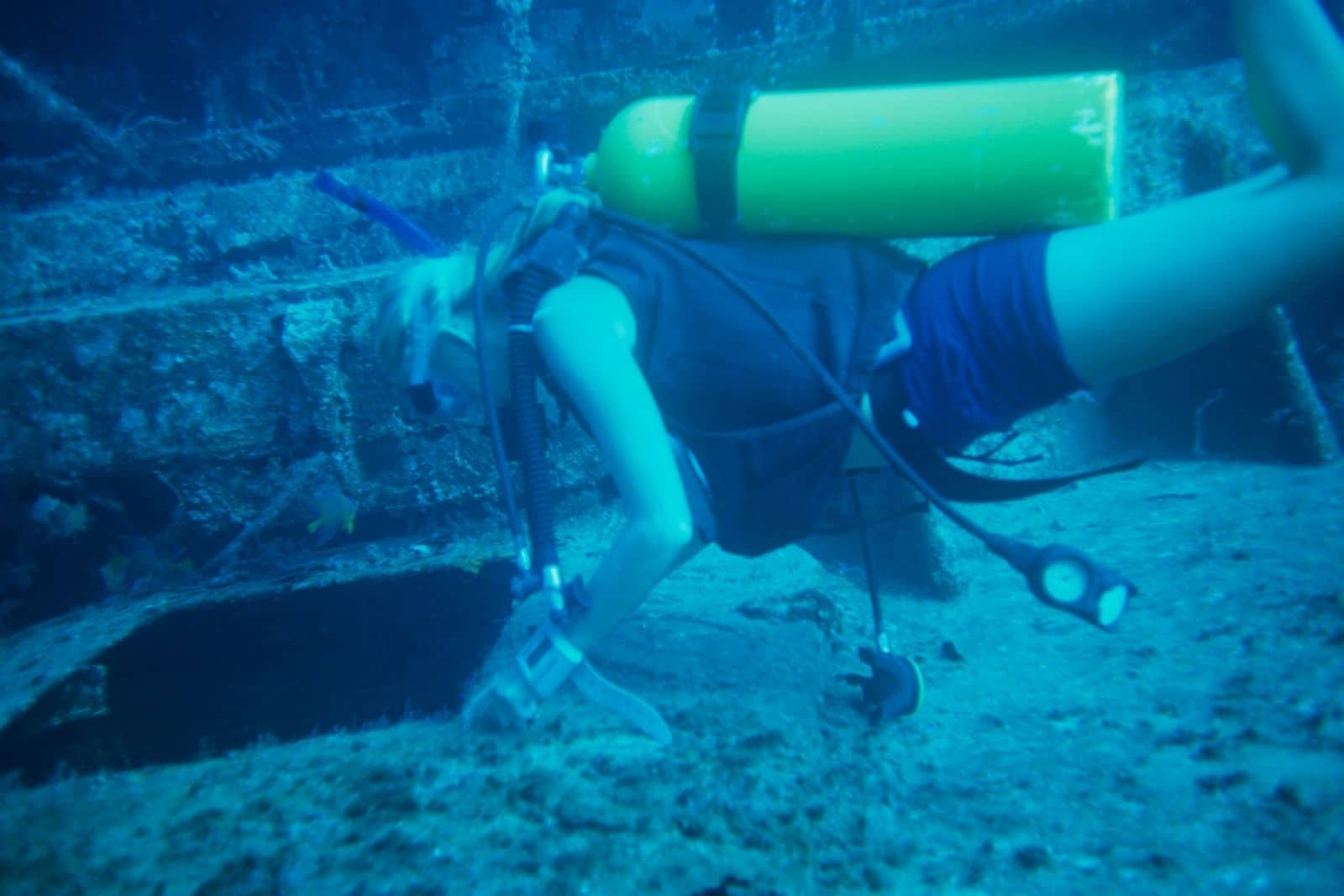 dive on wrecks in the bahamas