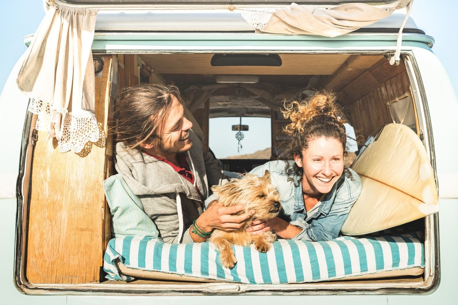 traveling with a Dog in an RV