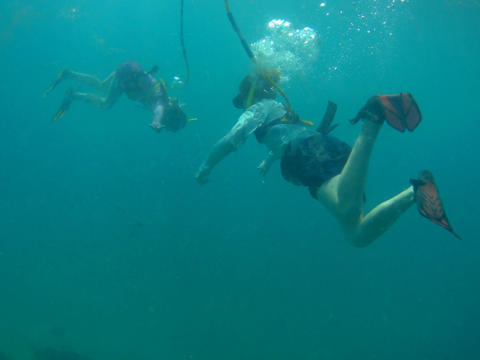 A First-Timer’s Respectful Underwater Day in Sint Maarten: Five Decisions That Matter Before You Book