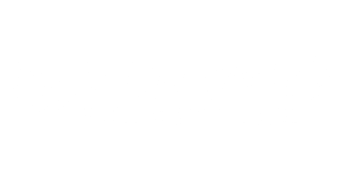 lizzie lau travels logo white